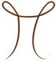 pilusion