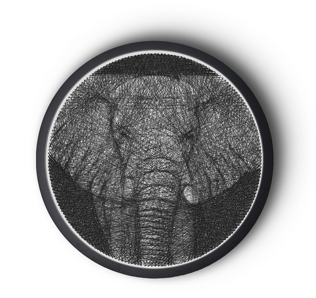 Pilusion, String Art Elephant
